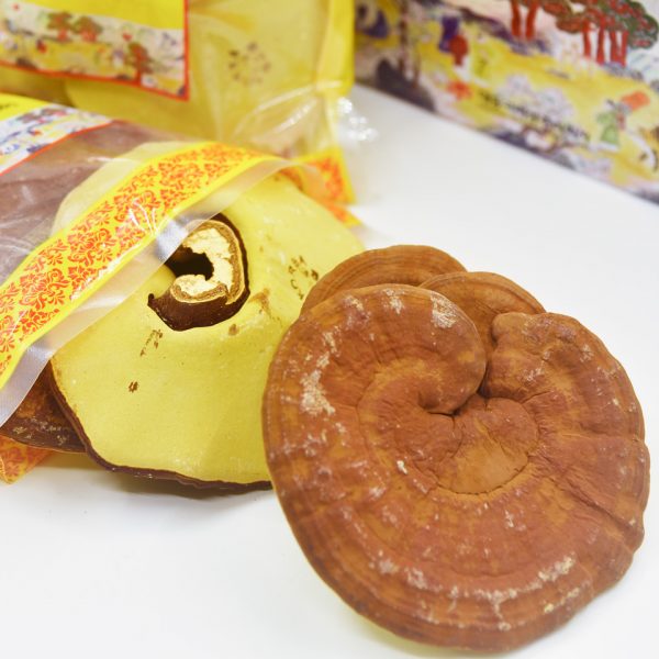 Nấm Linh Chi Nguyên Chiếc 